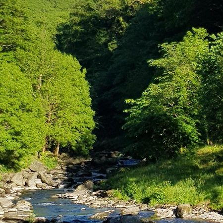 River Cottage Lynmouth Exterior photo